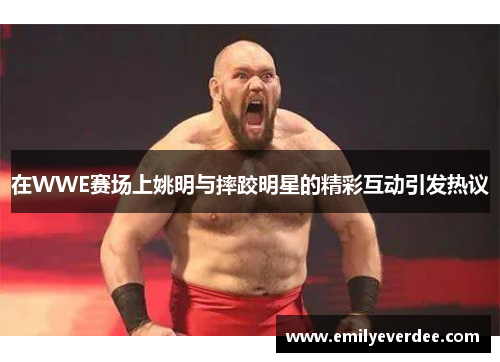 在WWE赛场上姚明与摔跤明星的精彩互动引发热议