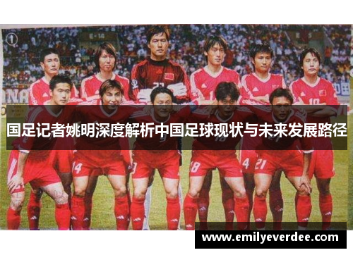 国足记者姚明深度解析中国足球现状与未来发展路径
