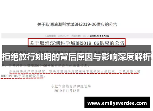 拒绝放行姚明的背后原因与影响深度解析