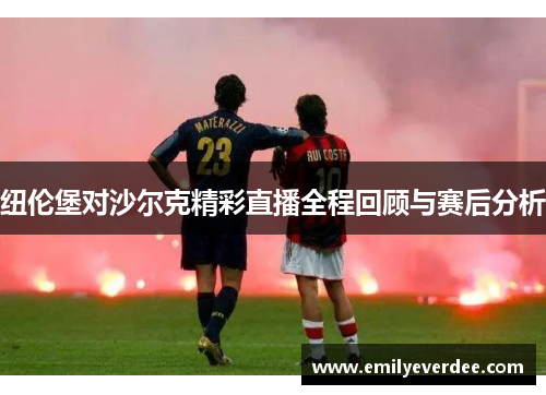 纽伦堡对沙尔克精彩直播全程回顾与赛后分析